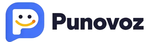 punovoz.com